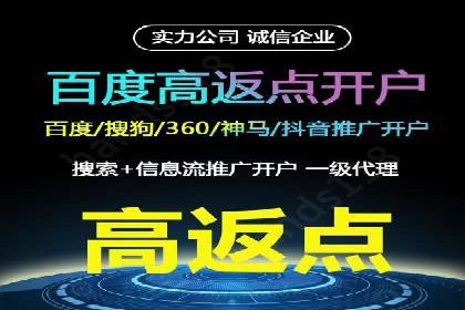 解析某某SEM服务公司的广告投放策略与效果评估